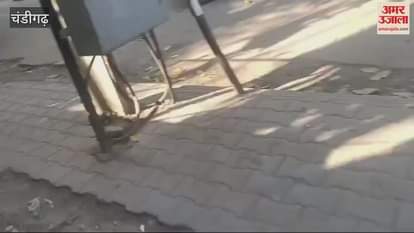 VIDEO : चंडीगढ़ में 12 साल की बच्ची से दुष्कर्म का आरोपी पकड़ा