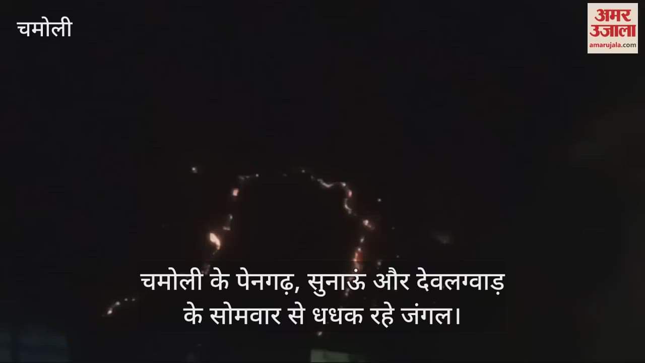 VIDEO : Forests of Pengarh, Sunaun and Devalgwad in Chamoli have been burning since Monday