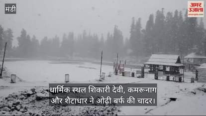 VIDEO : Gardeners are delighted with the rain and snowfall in the hilly areas of Mandi district