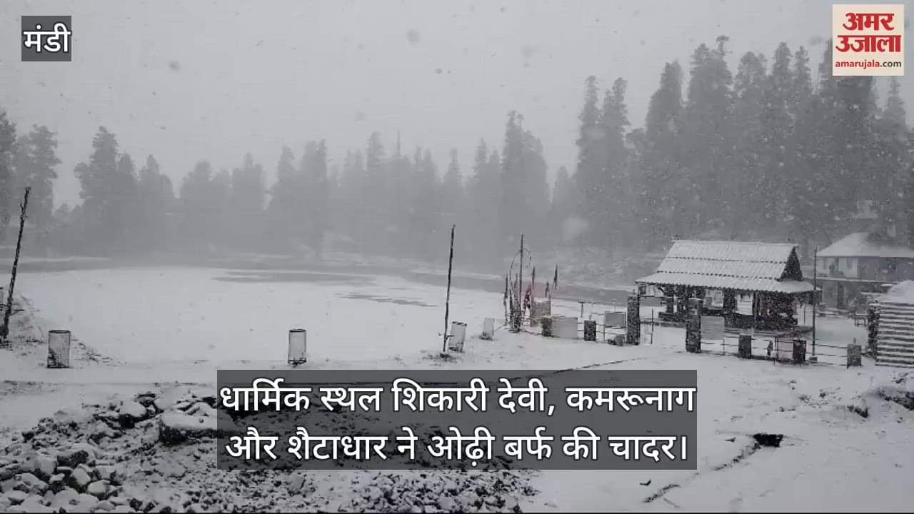 VIDEO : Gardeners are delighted with the rain and snowfall in the hilly areas of Mandi district