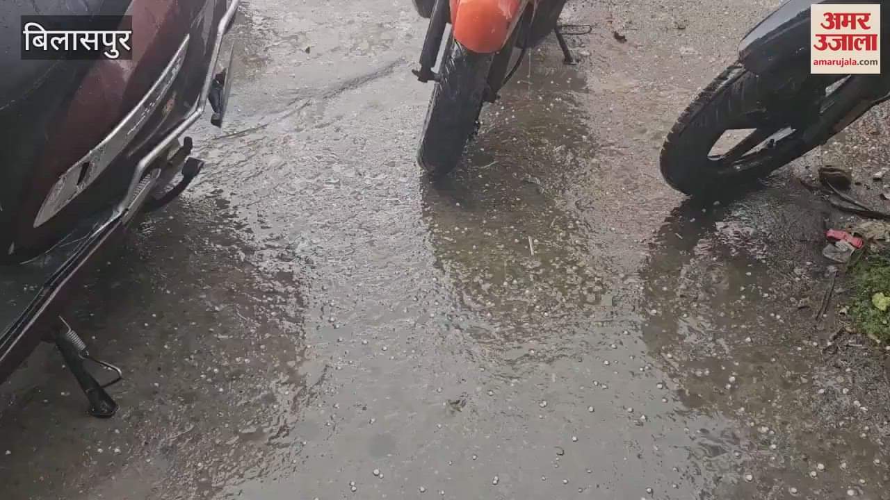 VIDEO : There was rain with hail in Bilaspur crops got a new lease of life