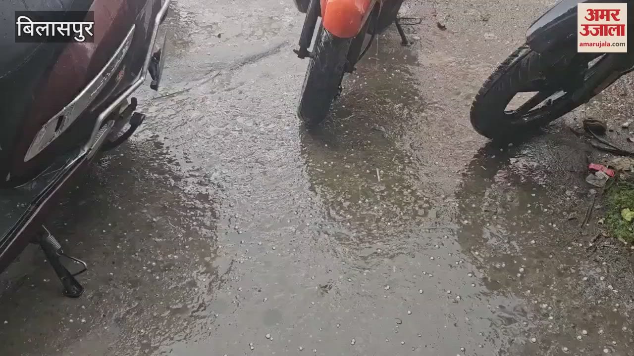 VIDEO : There was rain with hail in Bilaspur crops got a new lease of life