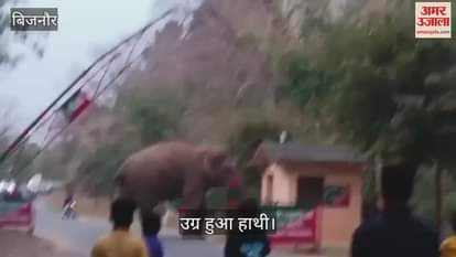 VIDEO : elephant became furious at the Forest Department's Lakadghat security barrier in Kalagarh