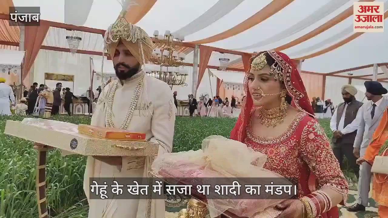 VIDEO : कनाडा से पंजाब लौटे कपल की अनोखी शादी