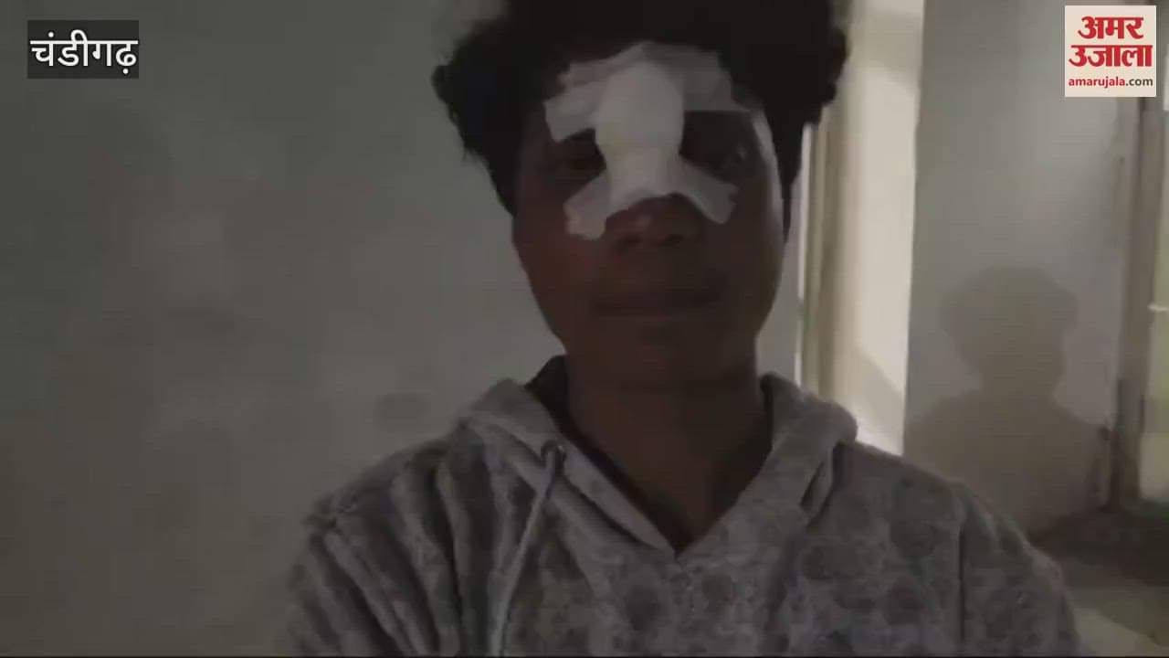 VIDEO : Seat belt of swing broke in Leisure Valley chandigarh Young man injured