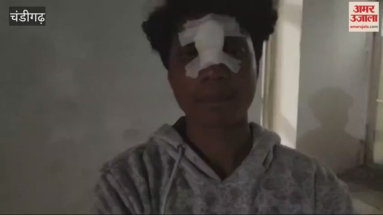 VIDEO : Seat belt of swing broke in Leisure Valley chandigarh Young man injured