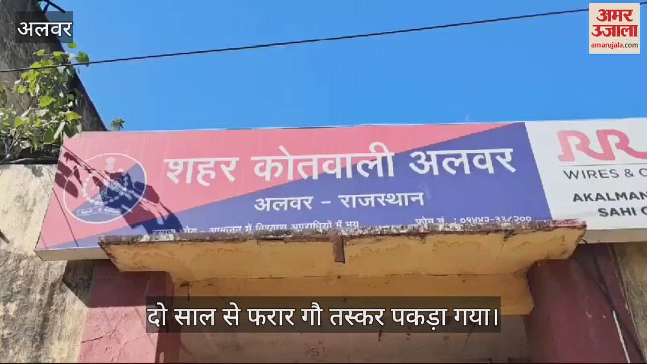 Alwar News: Cattle Smuggler Arrested After Two Years, Used to Sell Stray Cows in Haryana