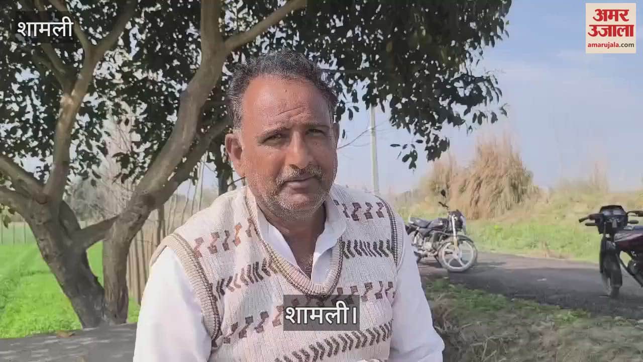 VIDEO : Electricity department SDO accused of demanding bribe of Rs 20,000, investigation underway