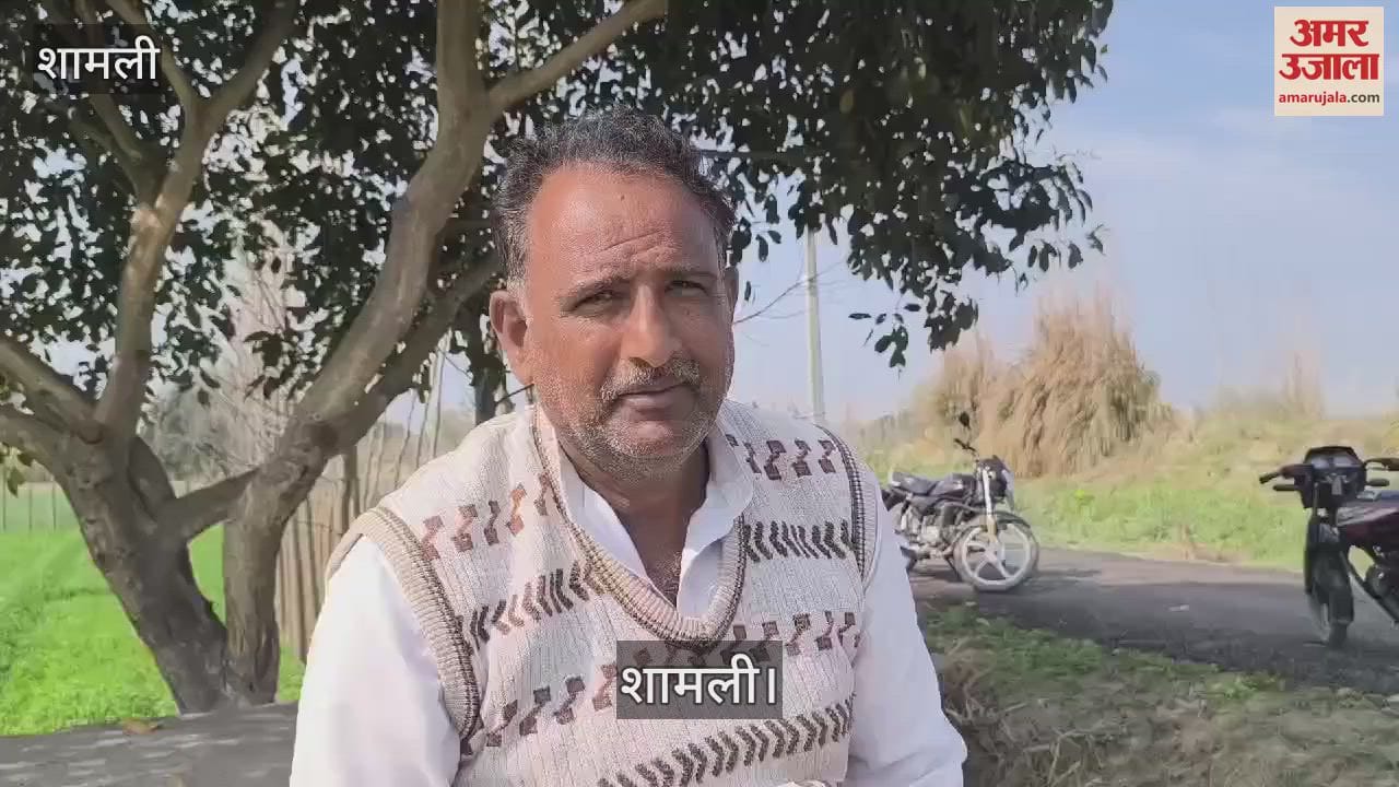 VIDEO : Electricity department SDO accused of demanding bribe of Rs 20,000, investigation underway