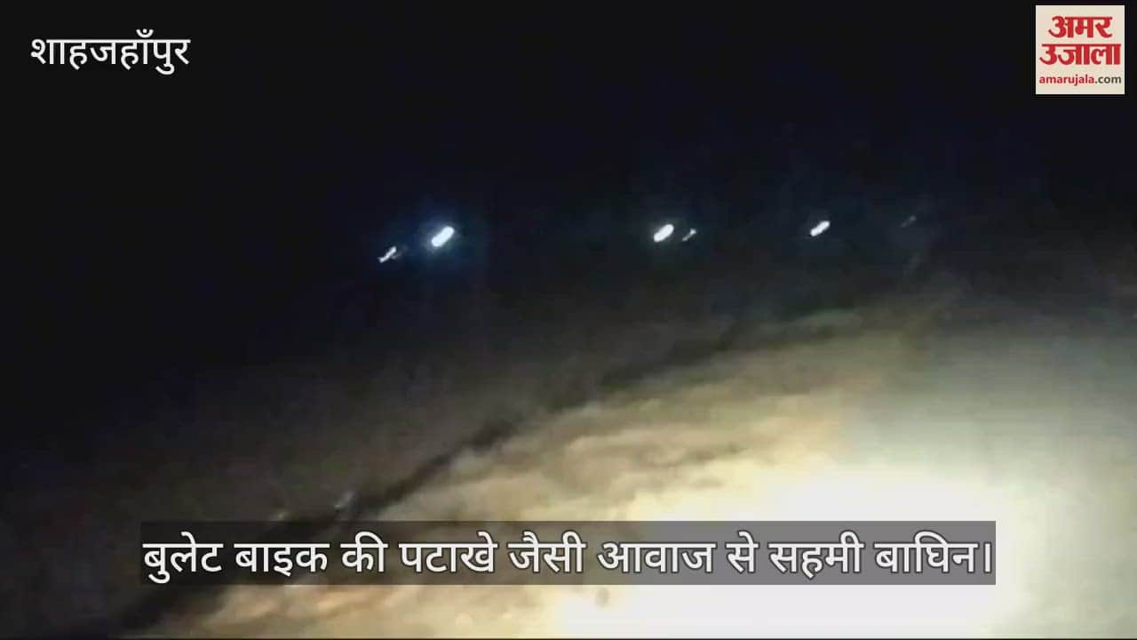 VIDEO : Tigress in Khutar area of Shahjahanpur
