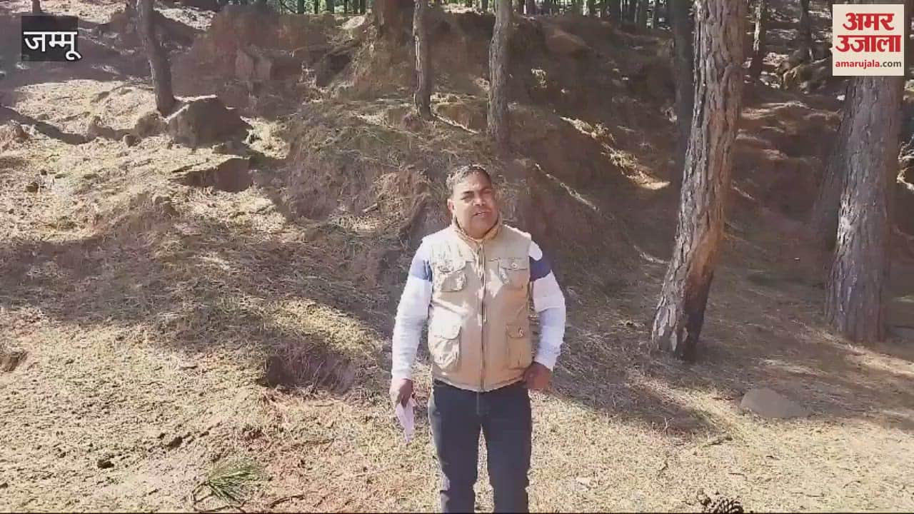 VIDEO : Plan to build a city forest in Chinani, Rs 56.40 lakh will be spent, there will be special facilities for tourists