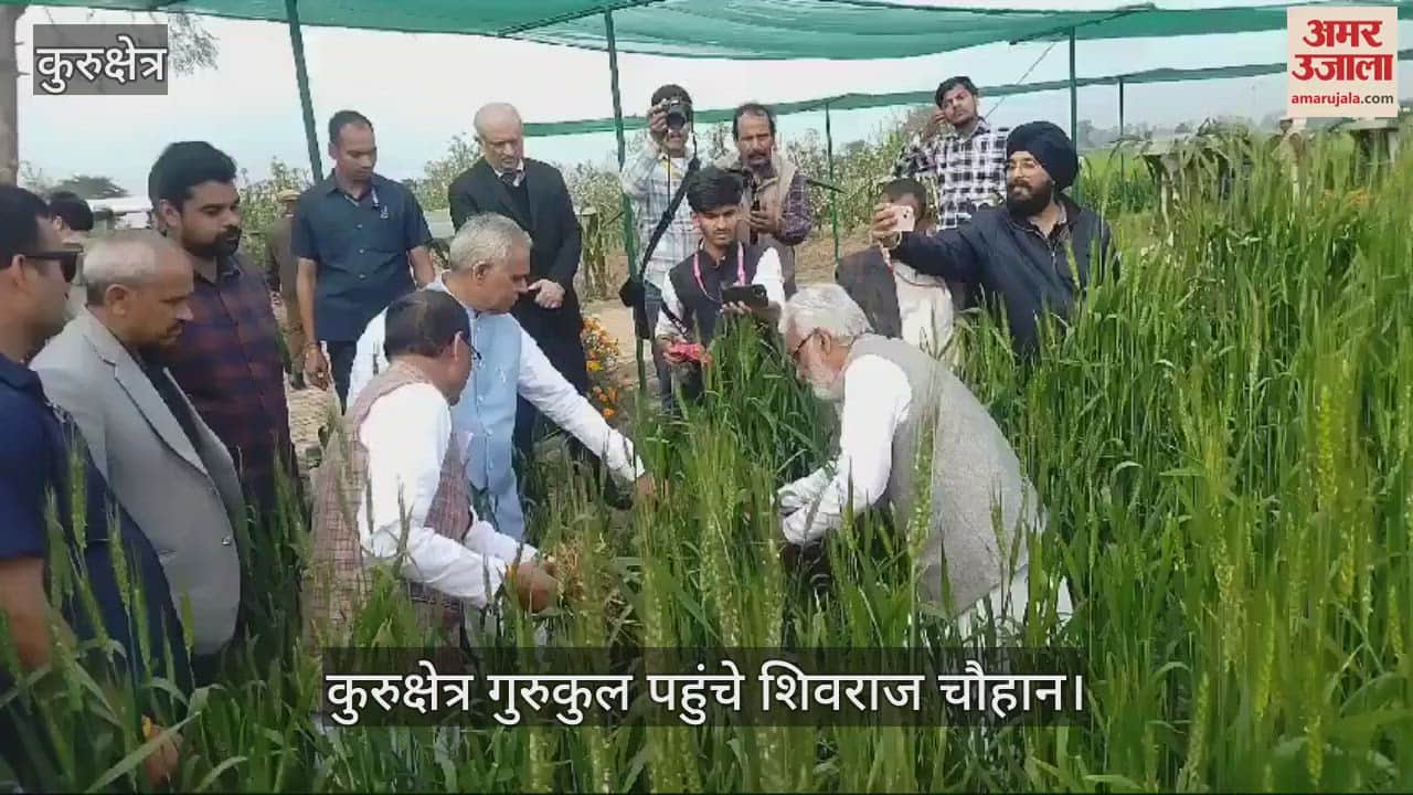 VIDEO : कुरुक्षेत्र पहुंचे केंद्रीय कृषि मंत्री शिवराज चौहान, हरे मटर का चखा स्वाद