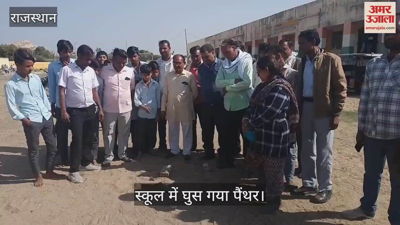 Tonk Panther Video When panther entered school there was chaos among children and teachers
