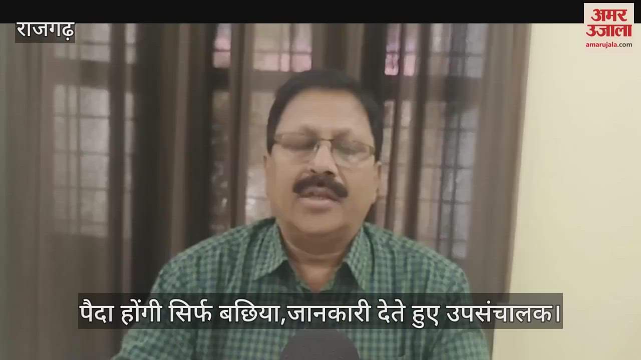 Know how farmers' income will increase, and cows will not be seen on the roads.