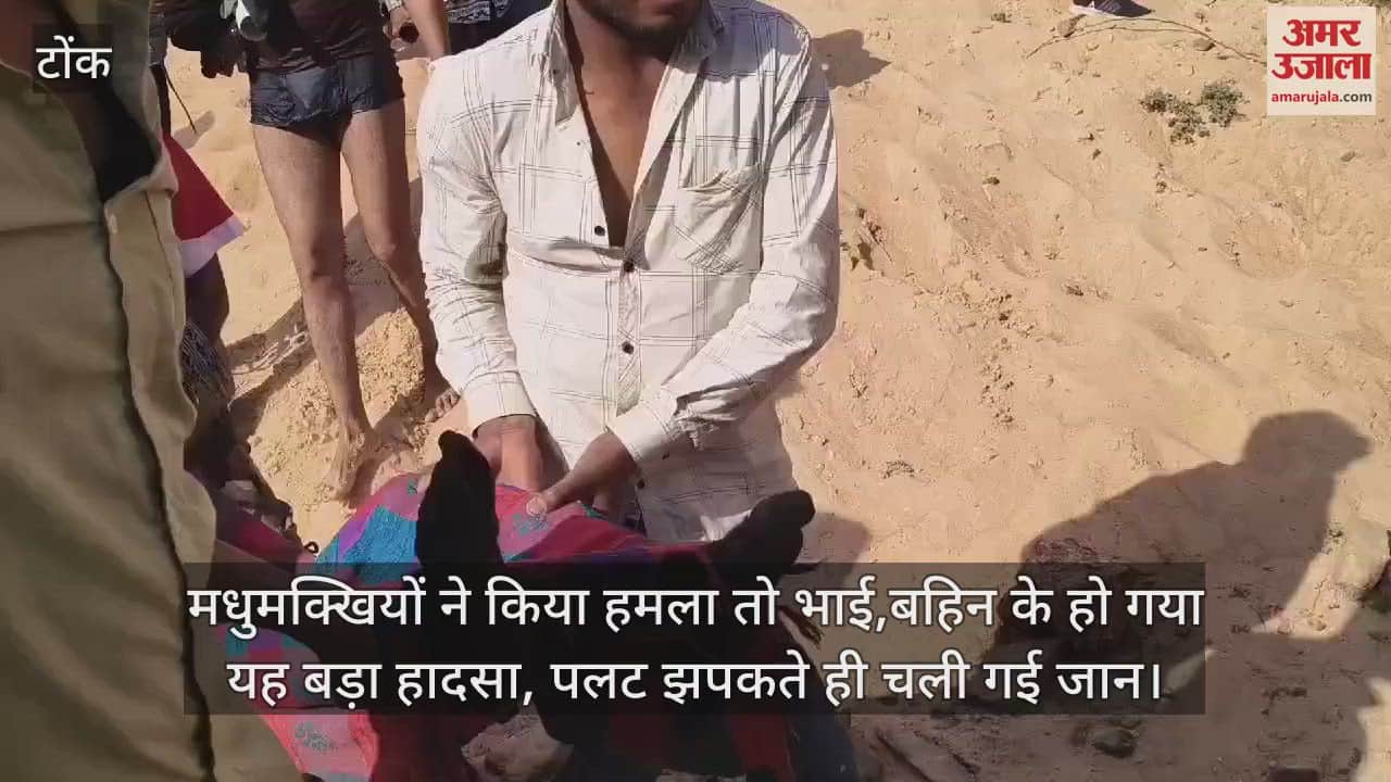 Tonk News Did you see such havoc created by bees brother and sister died in the blink of an eye