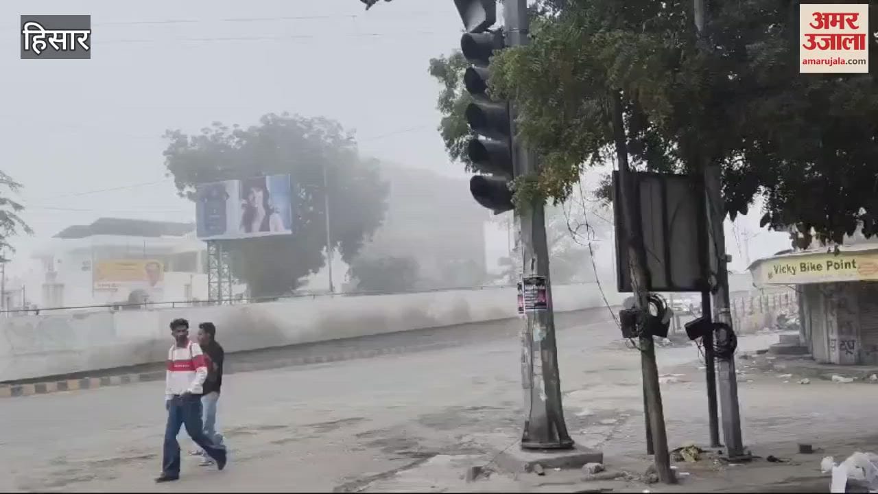 VIDEO : fog in hisar