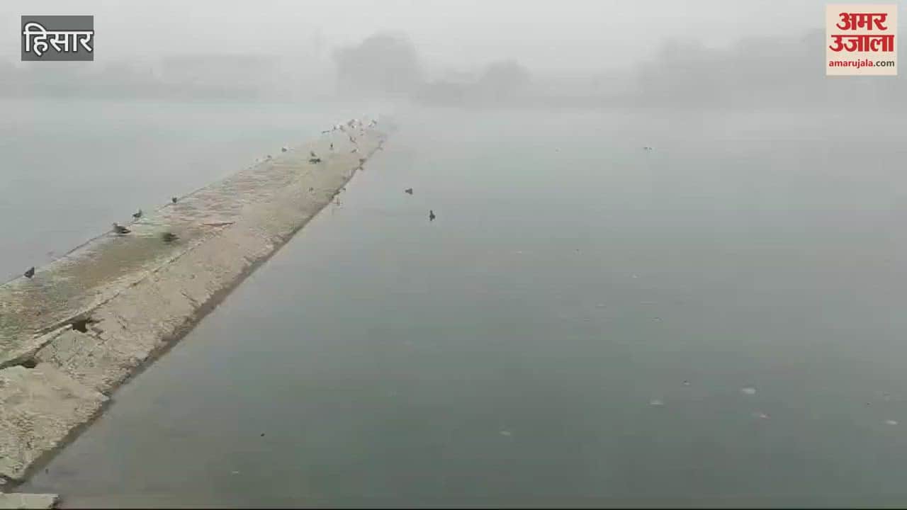VIDEO : After rain and hailstorm in Hisar, fog returned once again