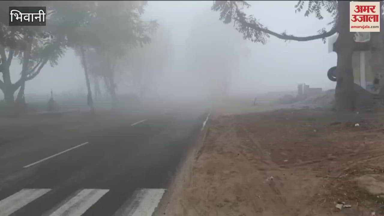 VIDEO : Fog engulfs Bhiwani, visibility less than 10 meters; cold wave increases chill