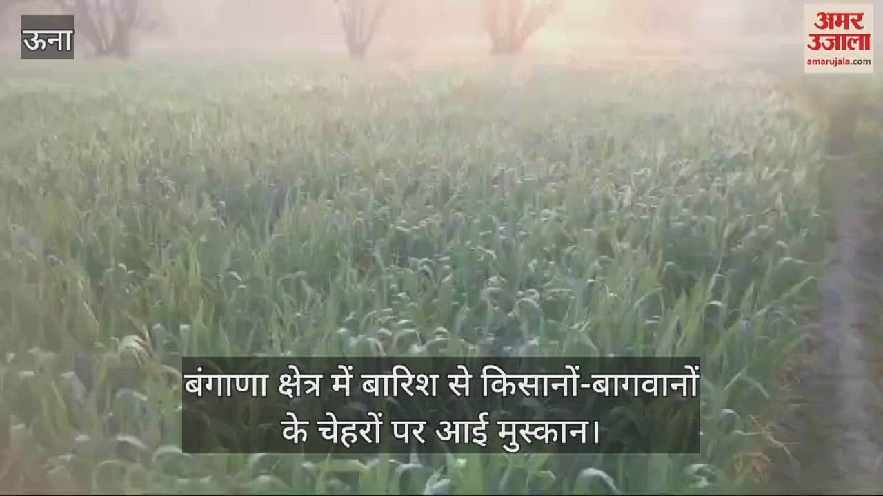 VIDEO : Rain in Bangana area brought smiles on the faces of farmers and gardeners