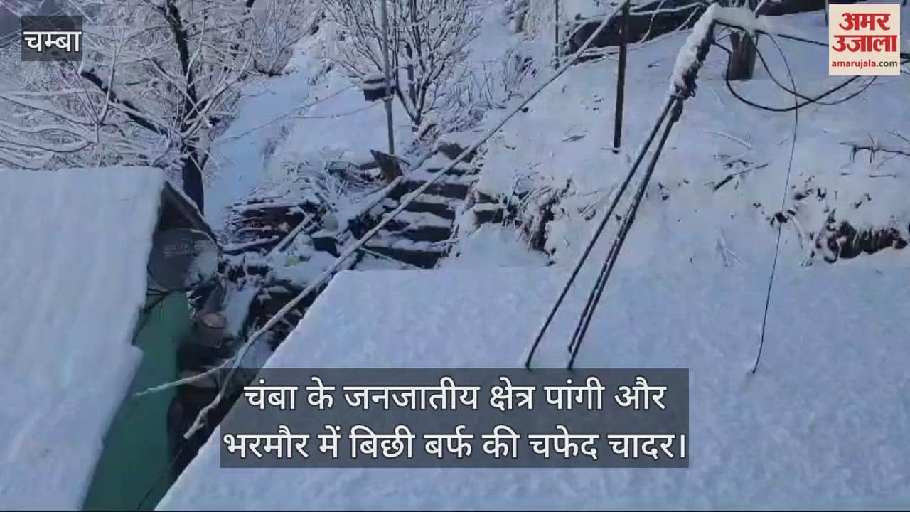 VIDEO : white sheet of snow covered the tribal areas of Pangi and Bharmour in Chamba