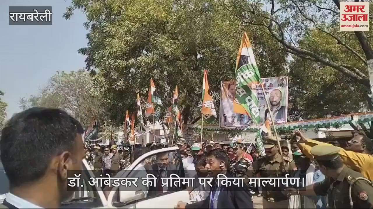 VIDEO : Raebareli: राहुल गांधी के रायबरेली दौरे का दूसरा दिन, डॉ. आंबेडकर की प्रतिमा पर किया माल्यार्पण
