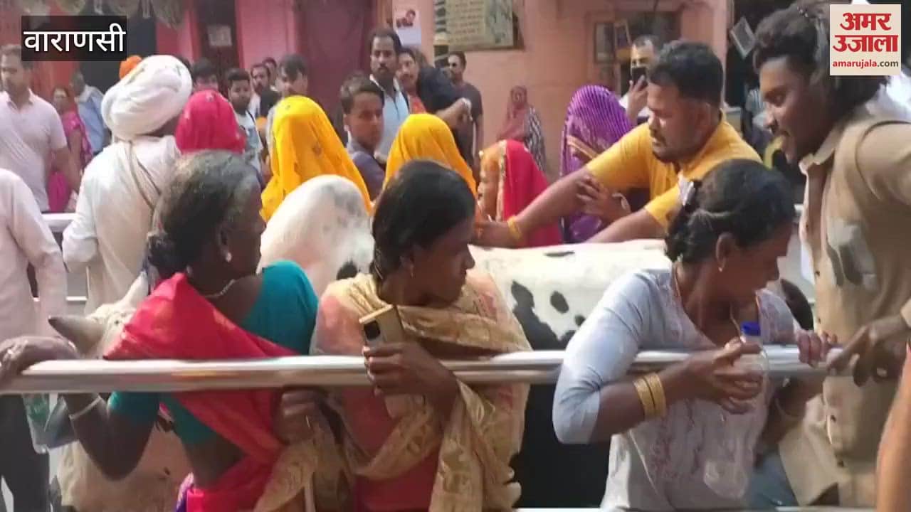 VIDEO : bull entered devotees barricades in kashi did not harm anyone