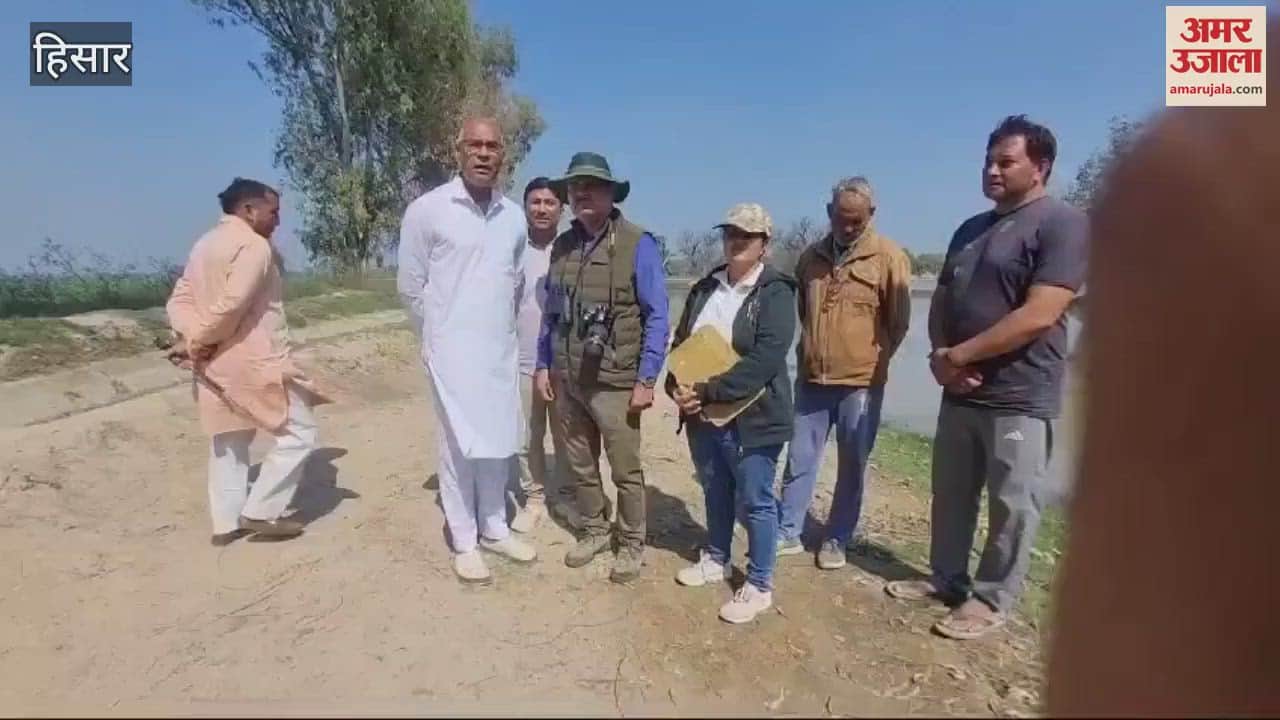 VIDEO : प्रवासी पक्षियों की गिनती व शोध के लिए प्रवासी पक्षी संरक्षण स्थल कालवन पहुंची टीम