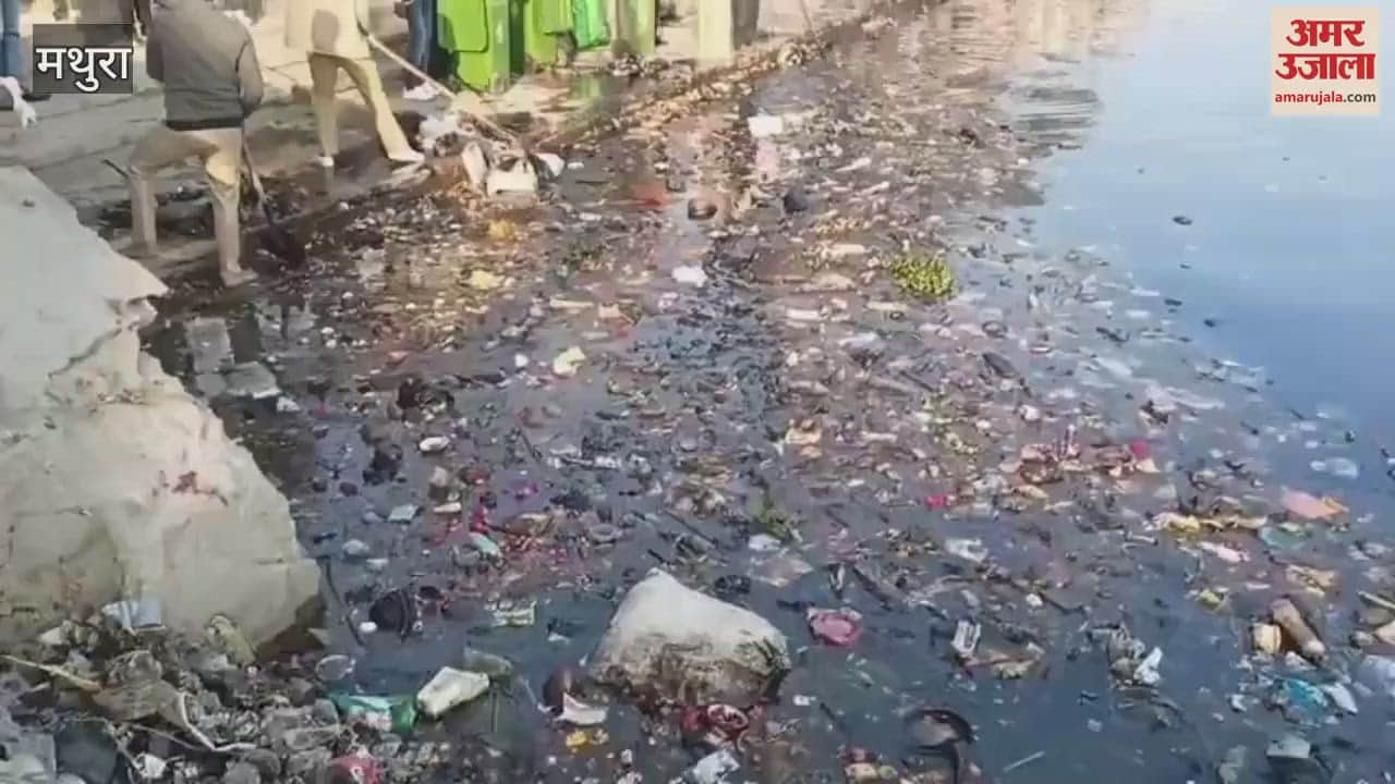 VIDEO : Nirankari devotees brightened Yamuna ghats