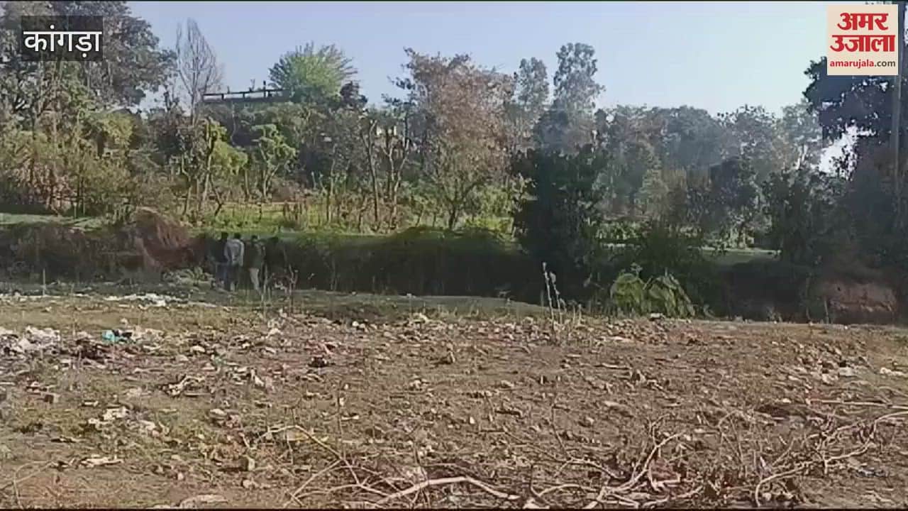 VIDEO : A live grenade was found in the Kutkana ravine of Rahain pin attached to destroyed by Indian Army bomb disposal squad