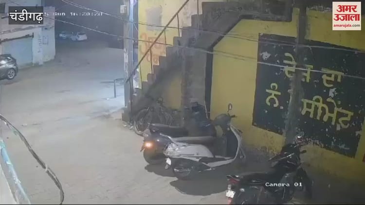: Hooliganism In Chandigarh - Amar Ujala Hindi News Live - Video :चंडीगढ़ में गुंडागर्दी, युवकों ने गाड़ियां तोड़ीं, एक को घोंपा चाकू, तलवार से कुत्ते को काट डाला