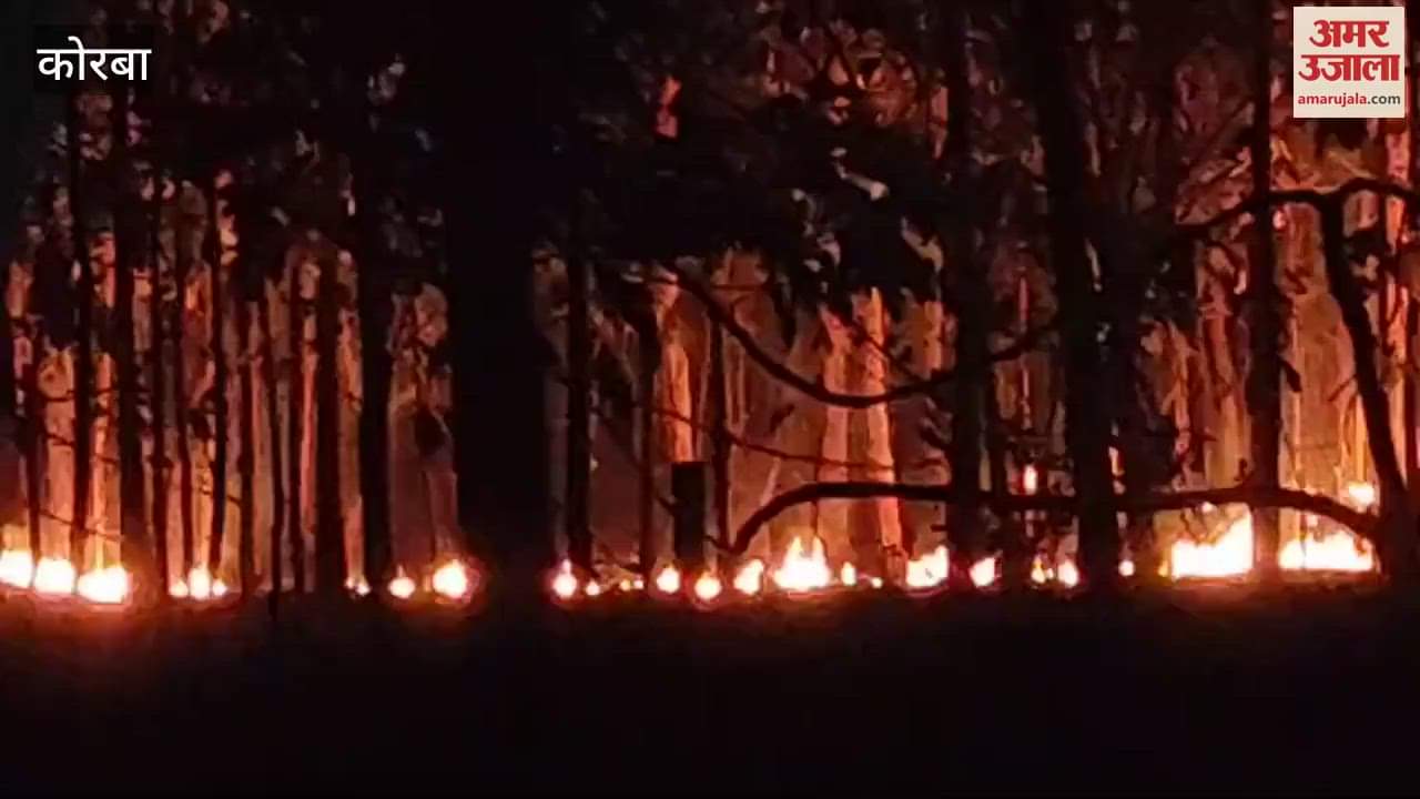 VIDEO : teak garden kept burning with smoke in korba