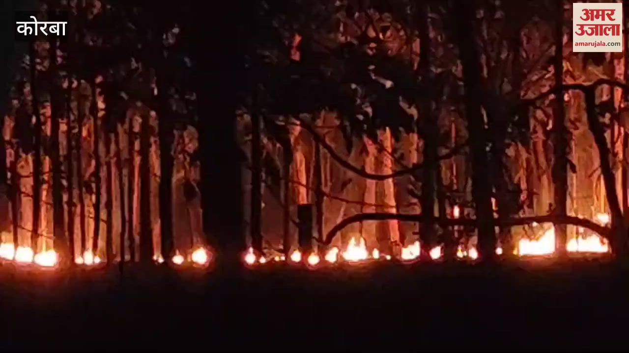 VIDEO : teak garden kept burning with smoke in korba