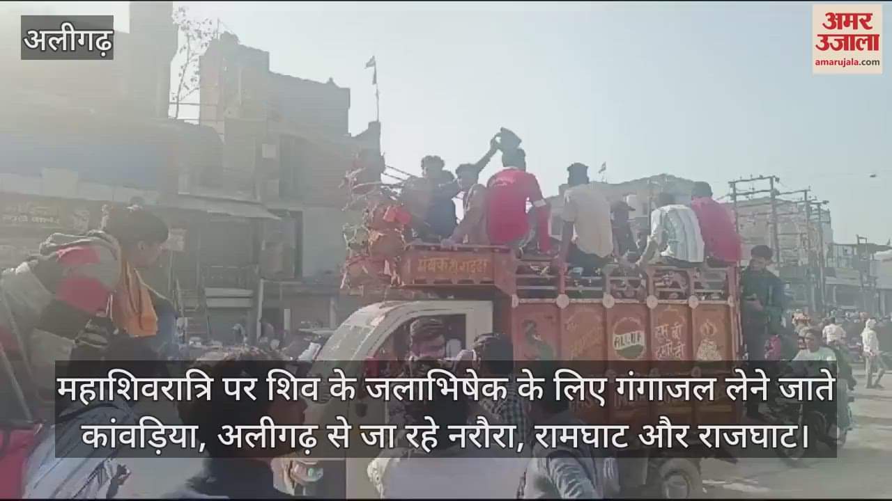 VIDEO : महाशिवरात्रि पर शिव के जलाभिषेक के लिए गंगाजल लेने जाते कांवड़िया, अलीगढ़ से जा रहे नरौरा, रामघाट और राजघाट