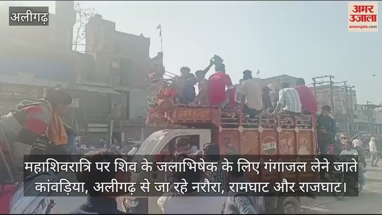 VIDEO : महाशिवरात्रि पर शिव के जलाभिषेक के लिए गंगाजल लेने जाते कांवड़िया, अलीगढ़ से जा रहे नरौरा, रामघाट और राजघाट