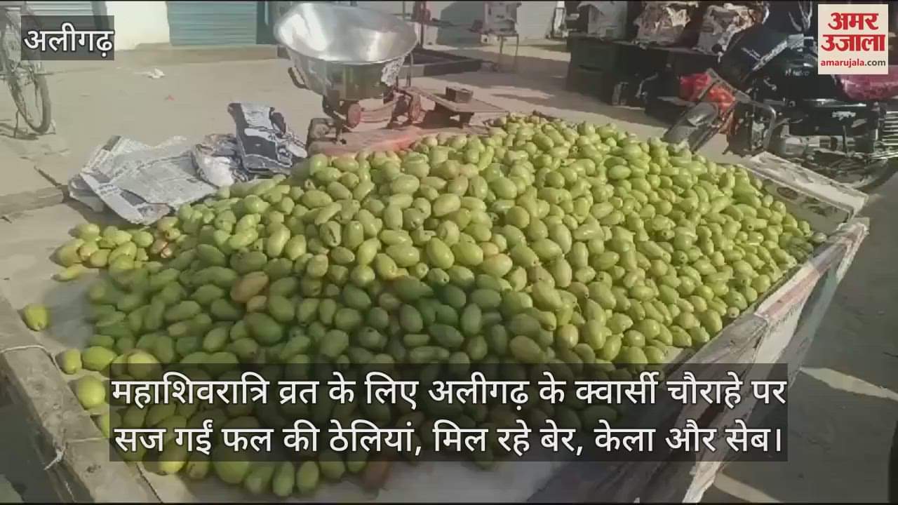 VIDEO : महाशिवरात्रि व्रत के लिए अलीगढ़ के क्वार्सी चौराहे पर सज गईं फल की ठेलियां, मिल रहे बेर, केला और सेब