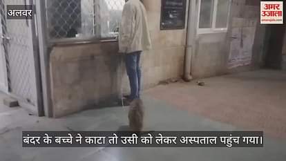 Alwar News: Man Ties Baby Monkey in Chain After Bite, Creates Ruckus at Hospital for Injection