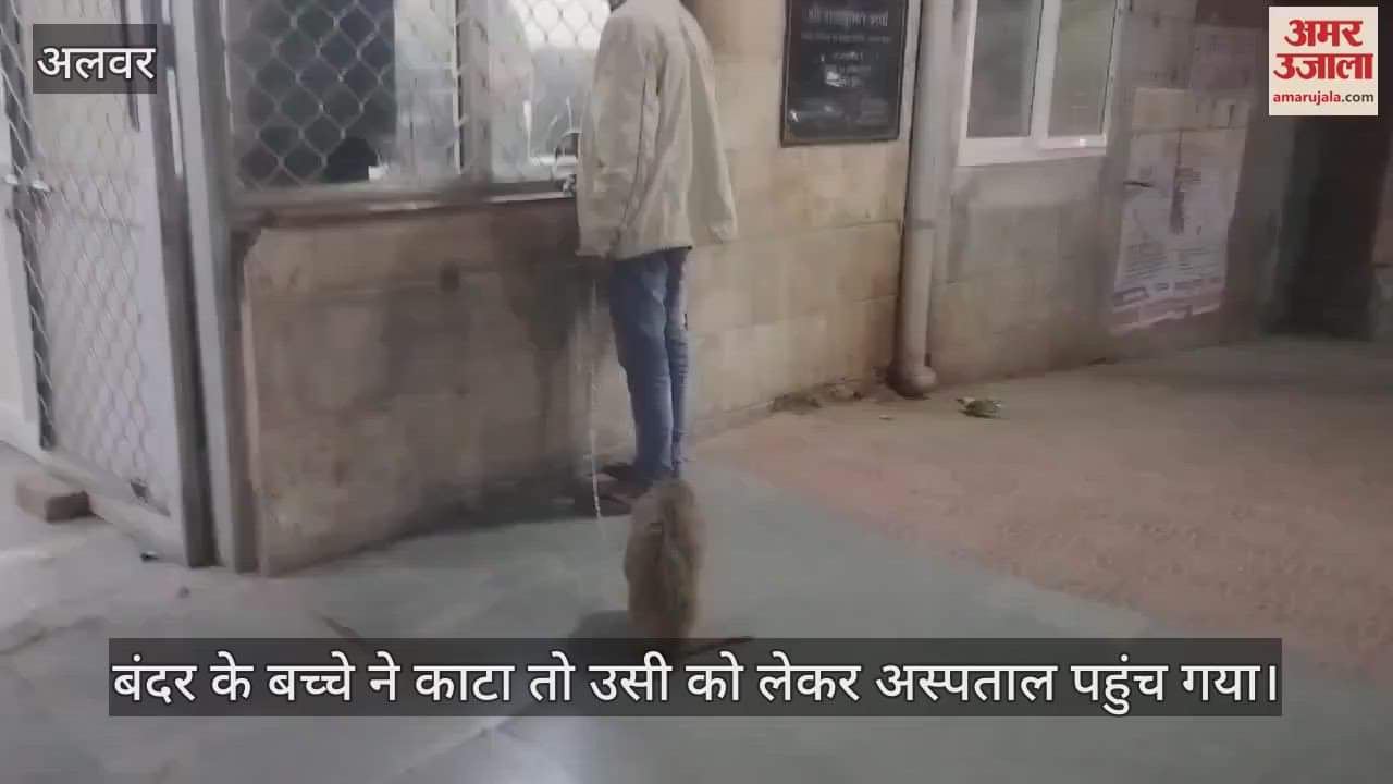 Alwar News: Man Ties Baby Monkey in Chain After Bite, Creates Ruckus at Hospital for Injection