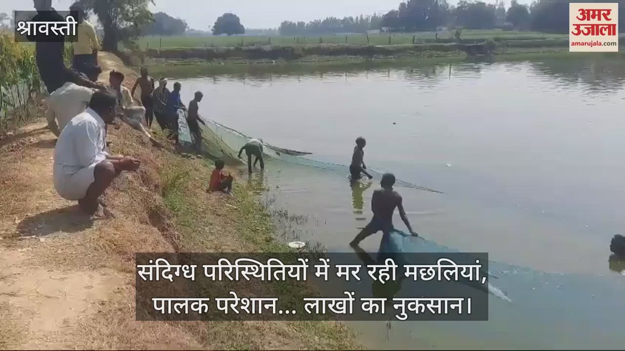 VIDEO : संदिग्ध परिस्थितियों में मर रही मछलियां, पालक परेशान... लाखों का नुकसान