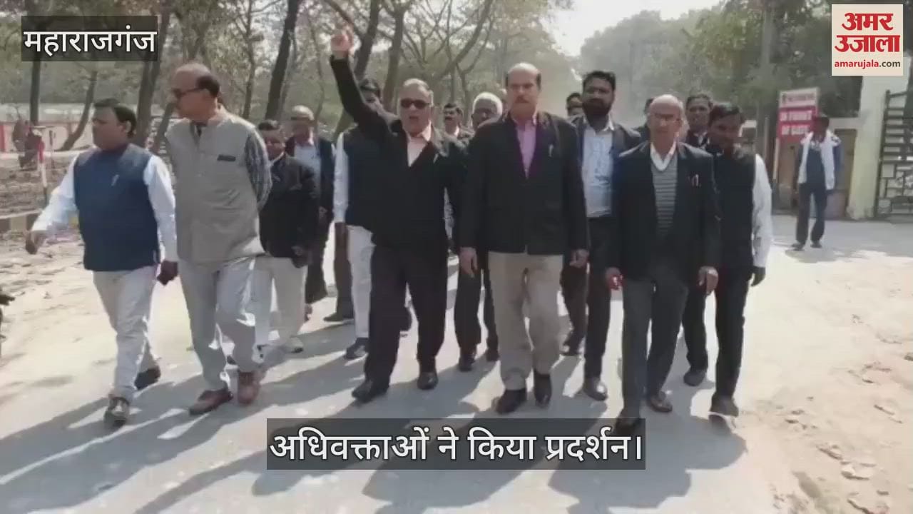 VIDEO : Advocates demonstrated against the new law