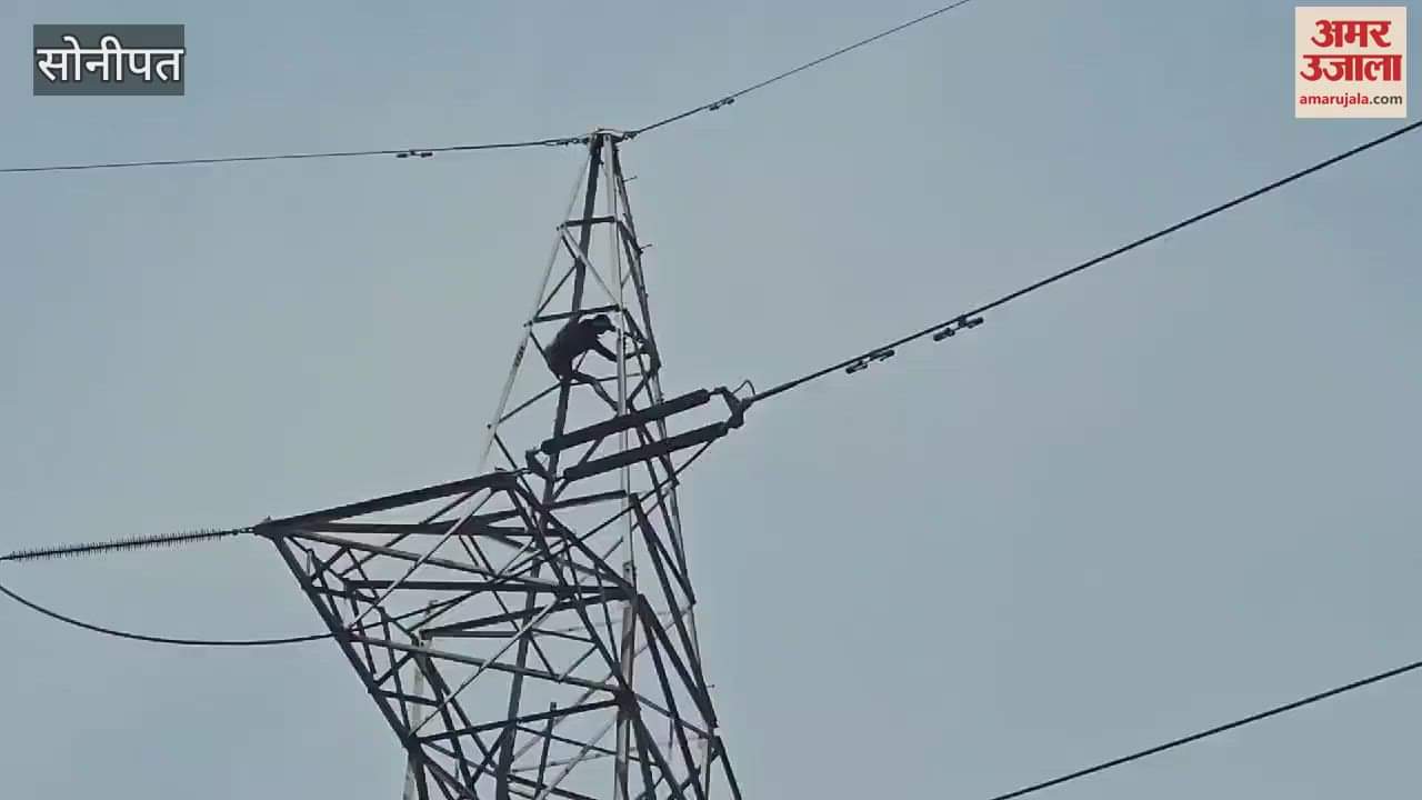 VIDEO : In Sonipat, a young man had climbed a tower located near National Highway-44 at Piau Maniyar