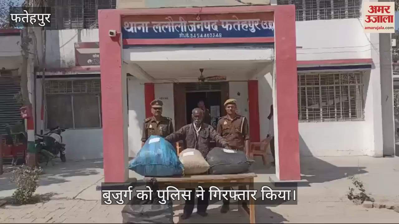 VIDEO : Man arrested for growing ganja at home in Fatehpur