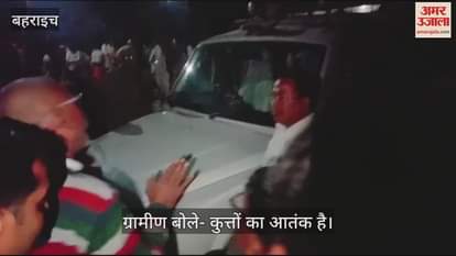 VIDEO : Bahraich: कुत्तों के झुंड ने खेत गई 9 साल की बच्ची को नोंच डाला, दर्दनाक मौत