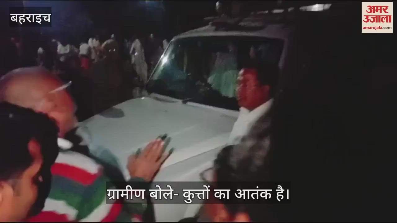VIDEO : Bahraich: कुत्तों के झुंड ने खेत गई 9 साल की बच्ची को नोंच डाला, दर्दनाक मौत