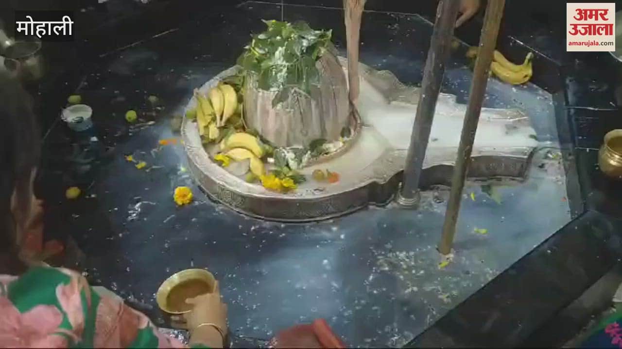 VIDEO : Devotees flocked to temples on Maha Shivratri in Mohali