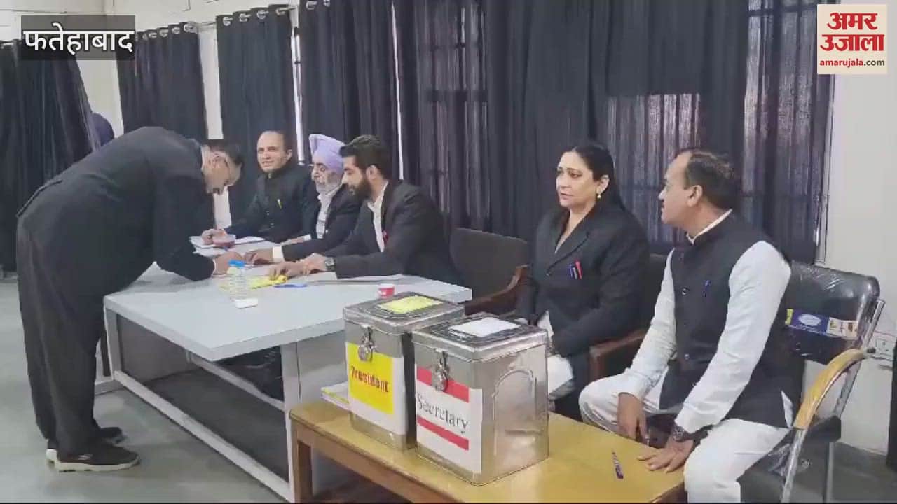 VIDEO : Fatehabad Bar election continues, voting till 4:30 pm, counting will take place after that