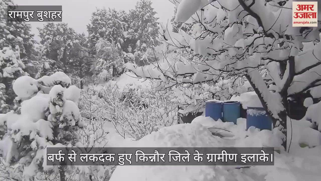 VIDEO : Rural areas of Kinnaur district covered in snow, see the beautiful view