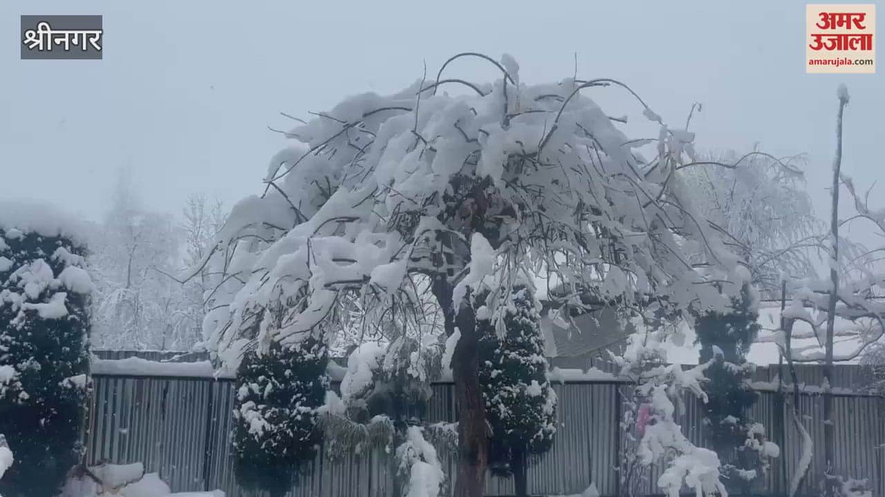 VIDEO : Fresh snowfall brings winter colors to Shopian, but road traffic problems increase