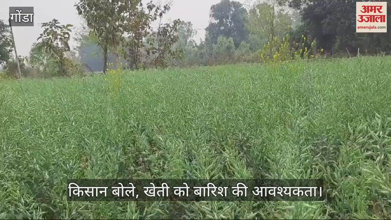 VIDEO : Gonda: गोंडा में मौसम में हुआ बदलाव, किसान बोले- बारिश की आवश्यकता है