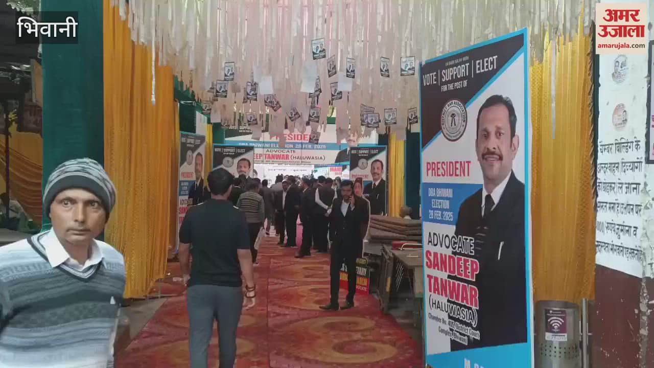 VIDEO : Voting begins for four posts including the president in the District Bar in Bhiwani