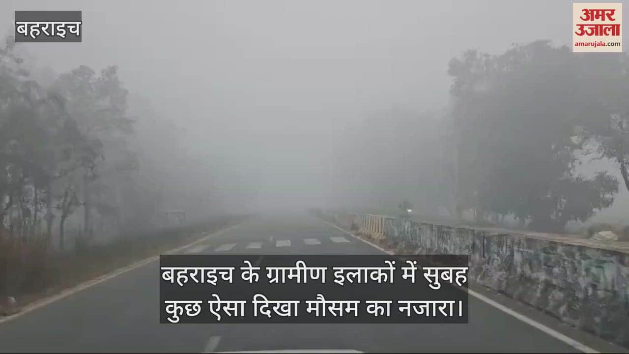 VIDEO : Bahraich: बहराइच के ग्रामीण इलाकों में सुबह कुछ ऐसा दिखा मौसम का नजारा